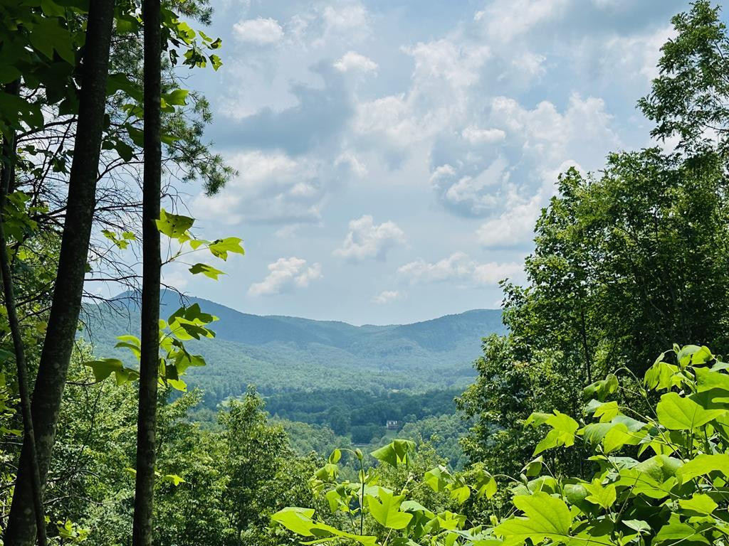 Lot 13 View Ridge Trail Murphy, NC 28906 - Photo 1 of 11 View from Lot 13