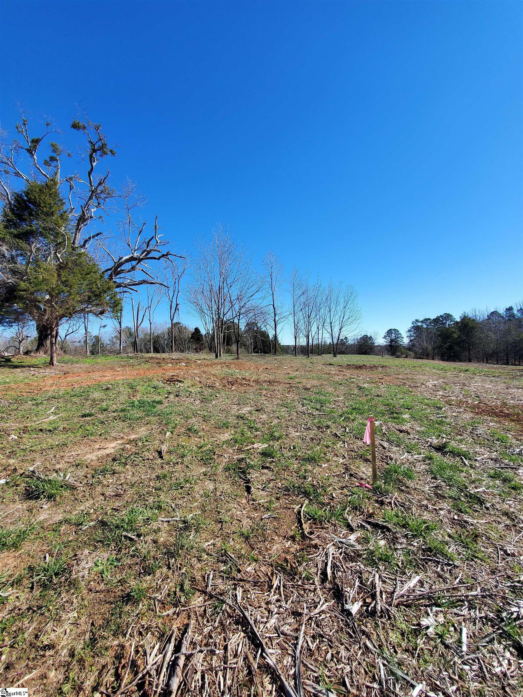 1 Ritchie Road, Unit LOT 1PENNINGTON FARMS) Fountain Inn, SC 29644 - Photo 4 of 33