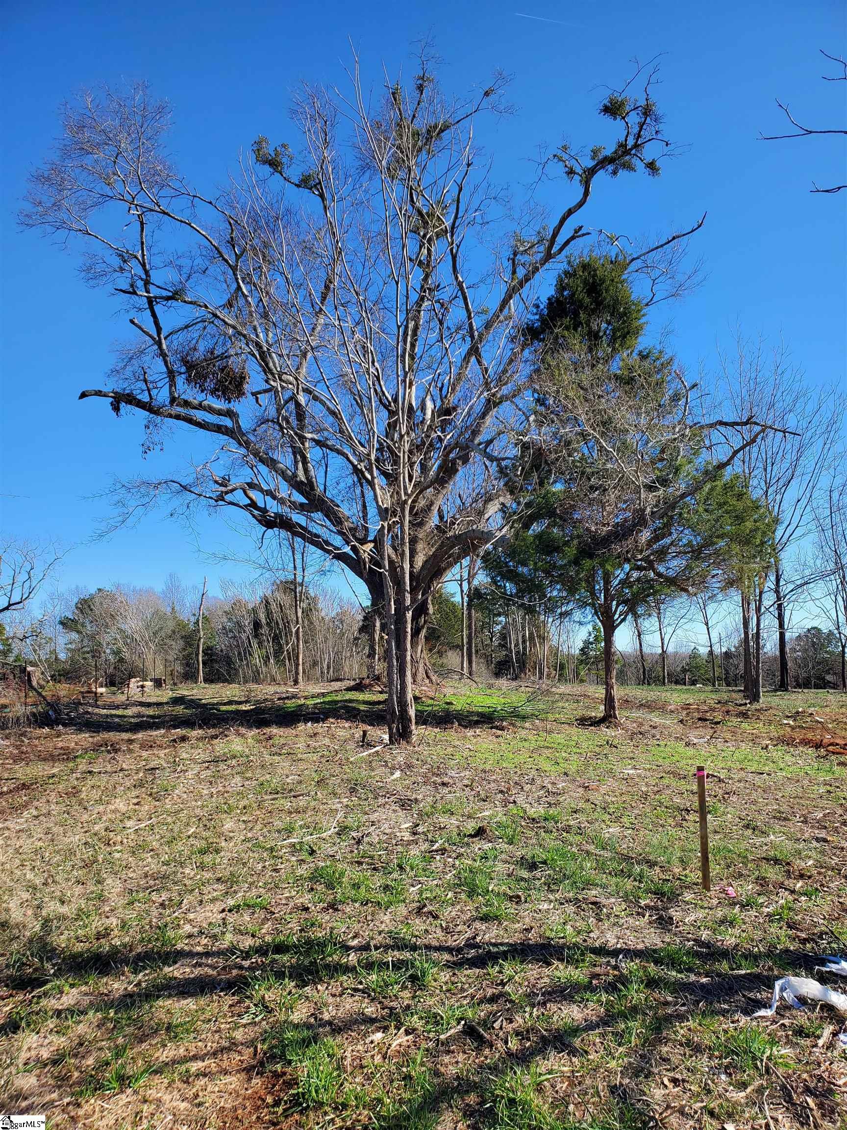 1 Ritchie Road, Unit LOT 1PENNINGTON FARMS) Fountain Inn, SC 29644 - Photo 8 of 33