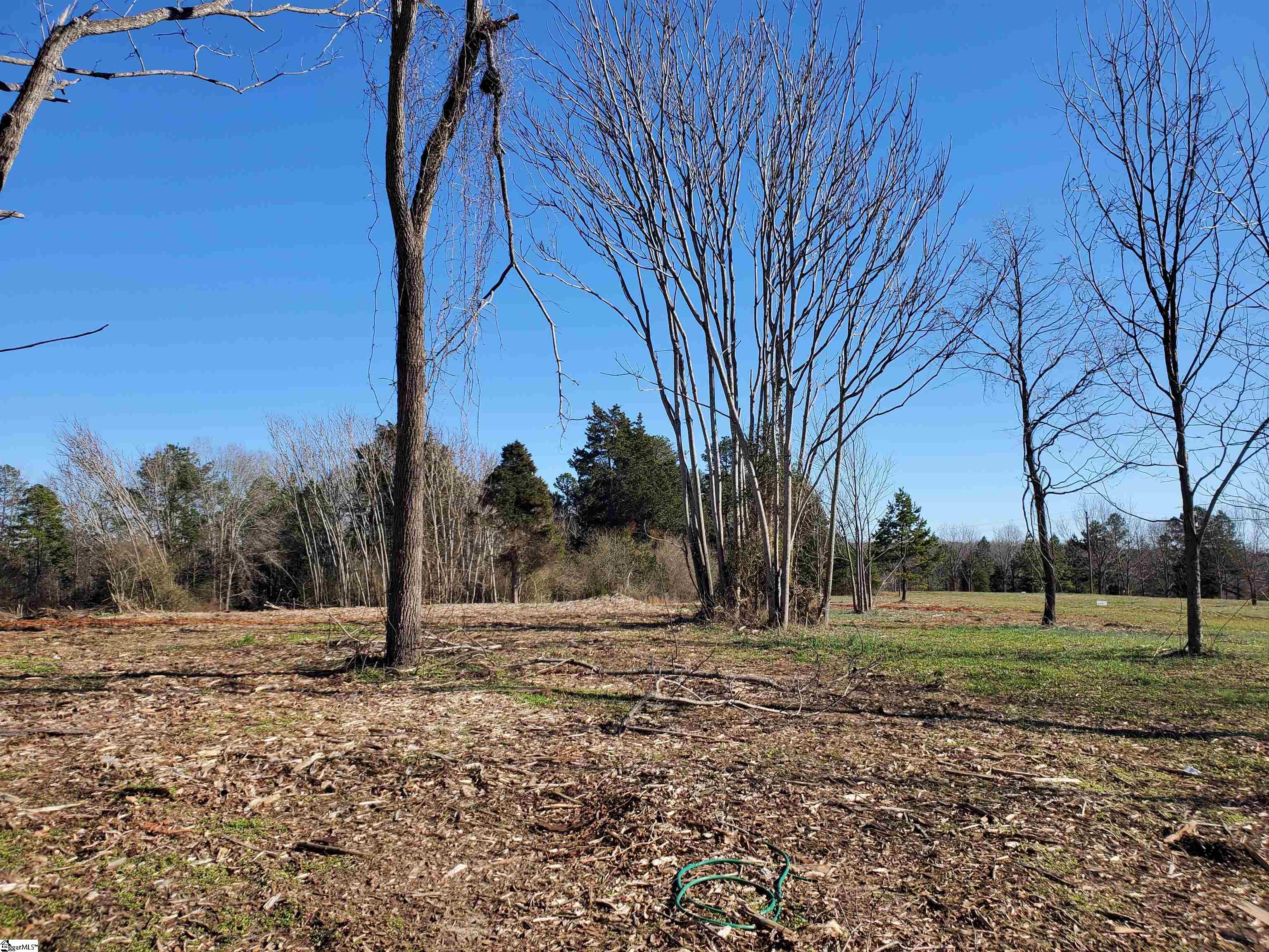 1 Ritchie Road, Unit LOT 1PENNINGTON FARMS) Fountain Inn, SC 29644 - Photo 9 of 33