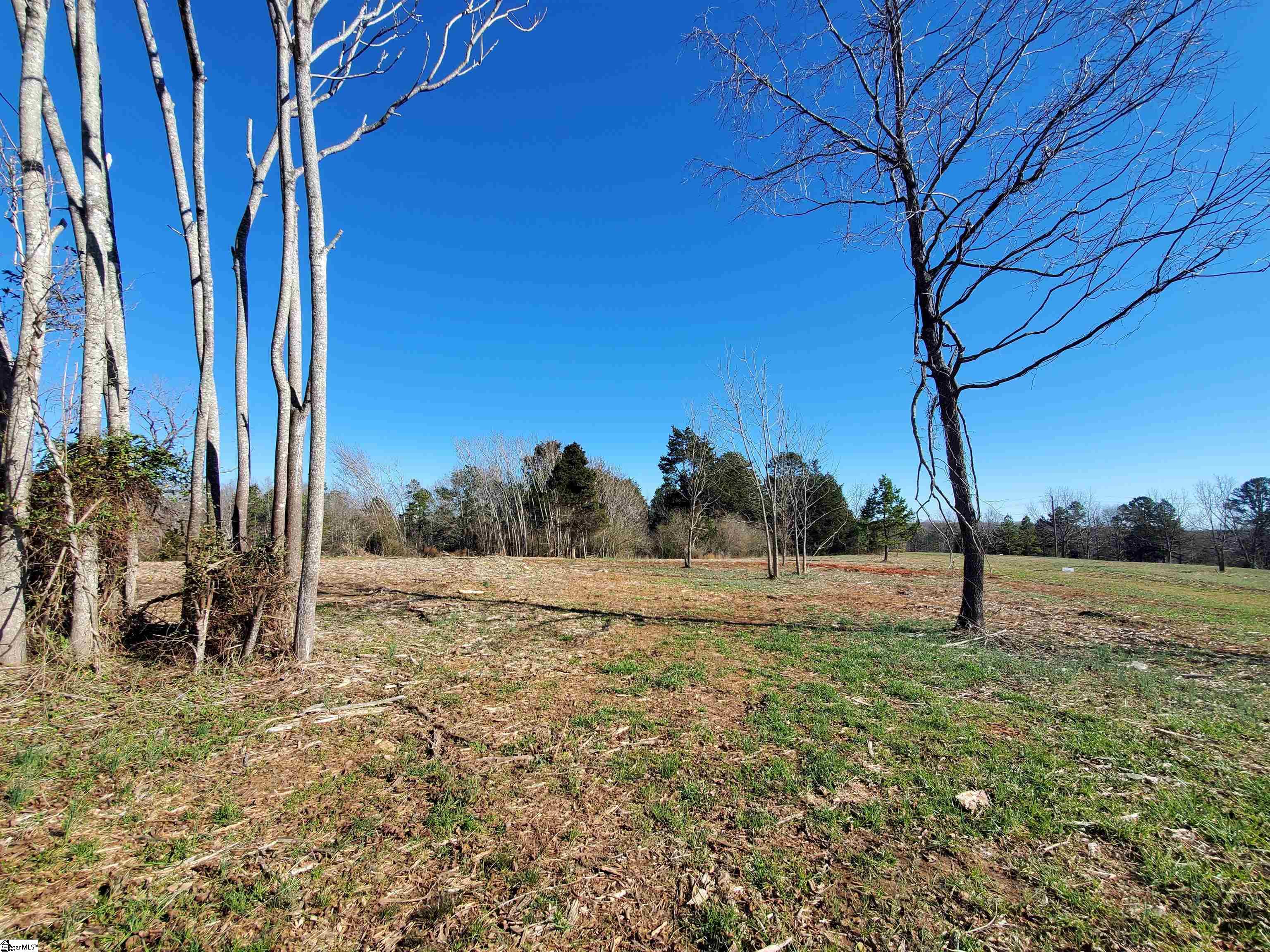 1 Ritchie Road, Unit LOT 1PENNINGTON FARMS) Fountain Inn, SC 29644 - Photo 10 of 33