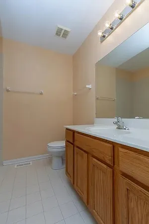a bathroom with a sink a toilet and a mirror