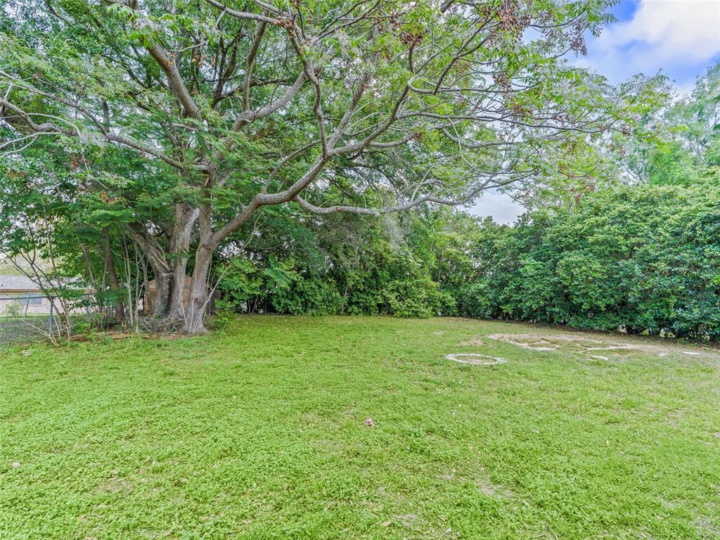 911 Jacaranda Drive Lady Lake, FL 32159 - Photo 21 of 24 a view of a field with trees in the background