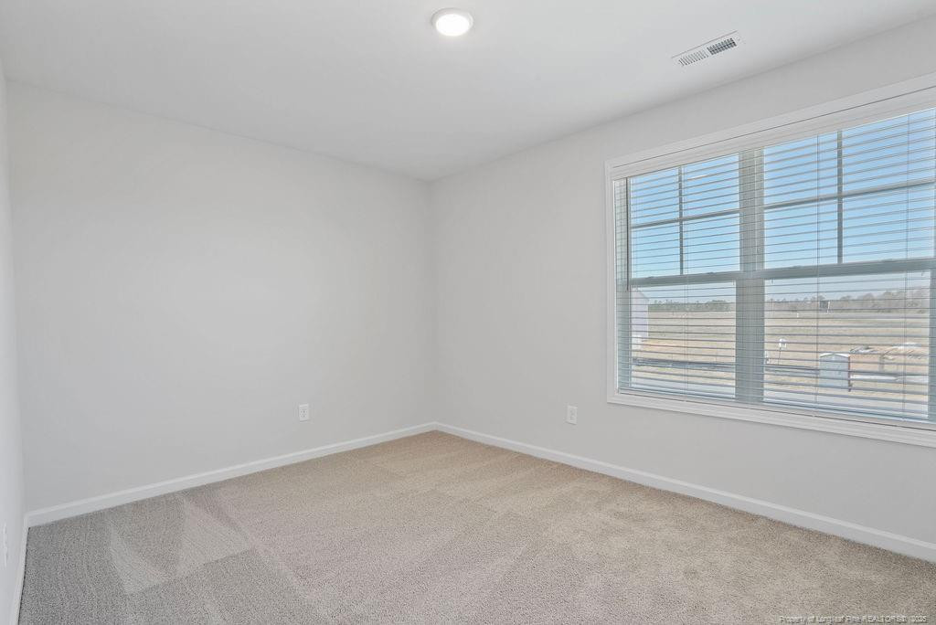 21 Buggy Top (lot 1) Lane Rockingham, NC 28379 - Photo 28 of 34 Photo 28