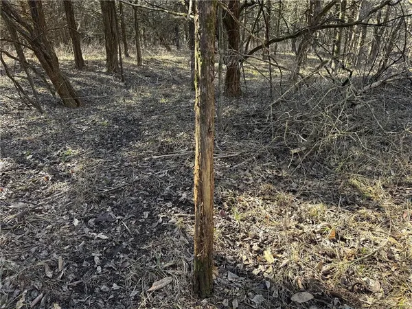 $294,000 | 17629 Key Avenue, Pattonsburg, MO 64670