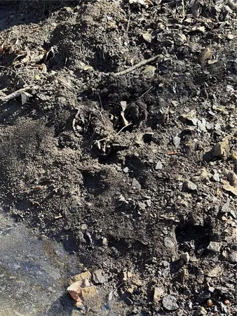 $294,000 | 17629 Key Avenue, Pattonsburg, MO 64670