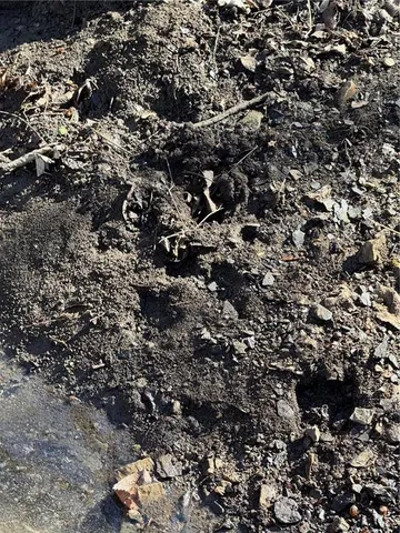 $294,000 | 17629 Key Avenue, Pattonsburg, MO 64670