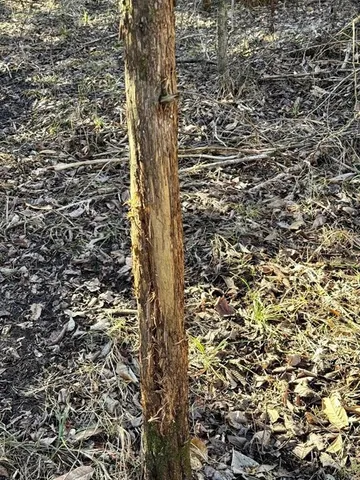 $294,000 | 17629 Key Avenue, Pattonsburg, MO 64670