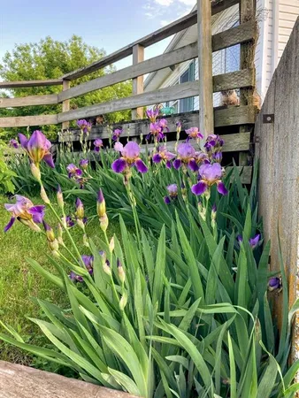 $294,000 | 17629 Key Avenue, Pattonsburg, MO 64670