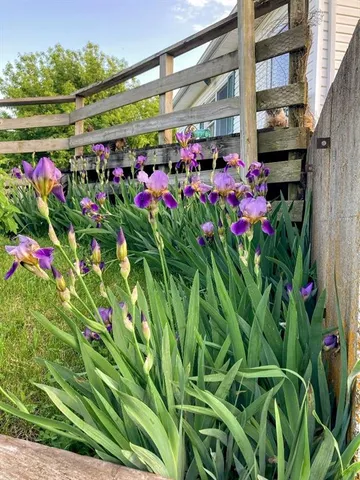 $294,000 | 17629 Key Avenue, Pattonsburg, MO 64670