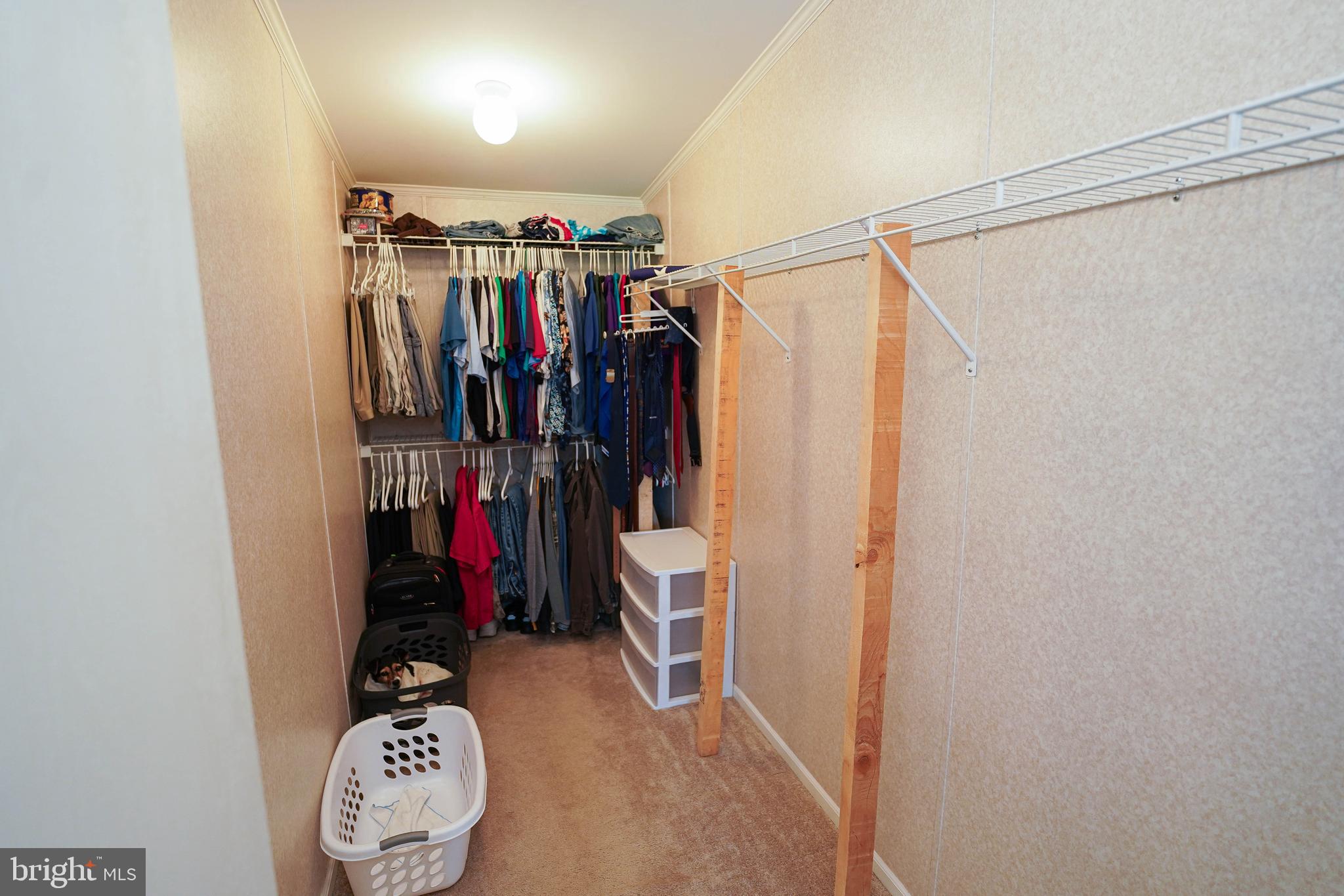 5846 Puckum Road Rhodesdale, MD 21659 - Photo 22 of 32 a view of walk in closet with clothes and shoes