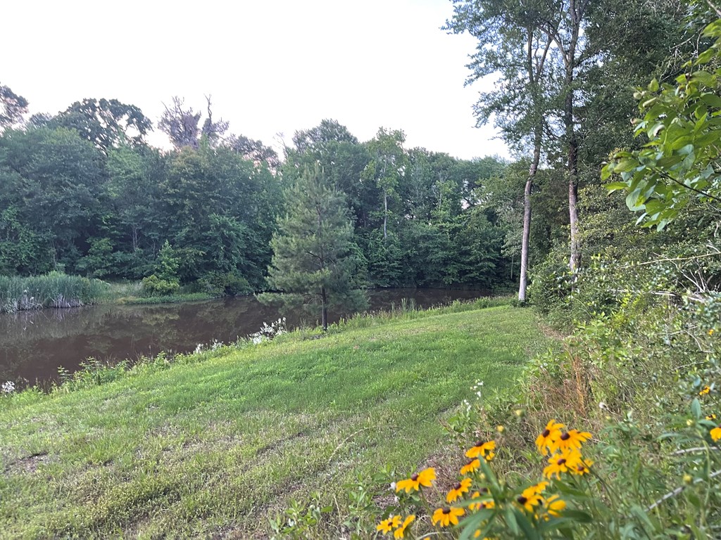 340 AN County Road Tennessee Colony, TX 75861 - Photo 28 of 36
