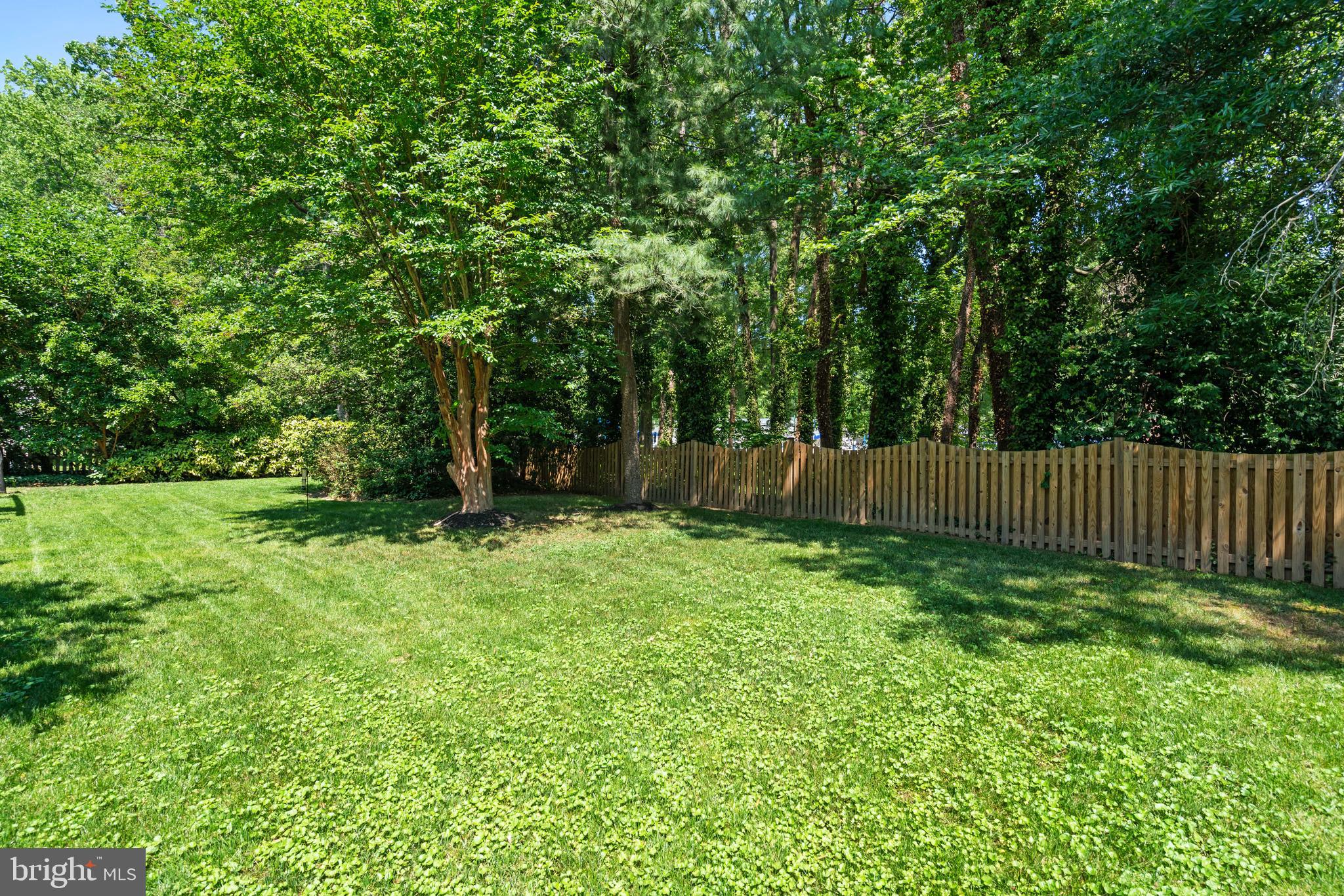 8611 Cyrus Place Alexandria, VA 22308 - Photo 44 of 49 Fully fenced