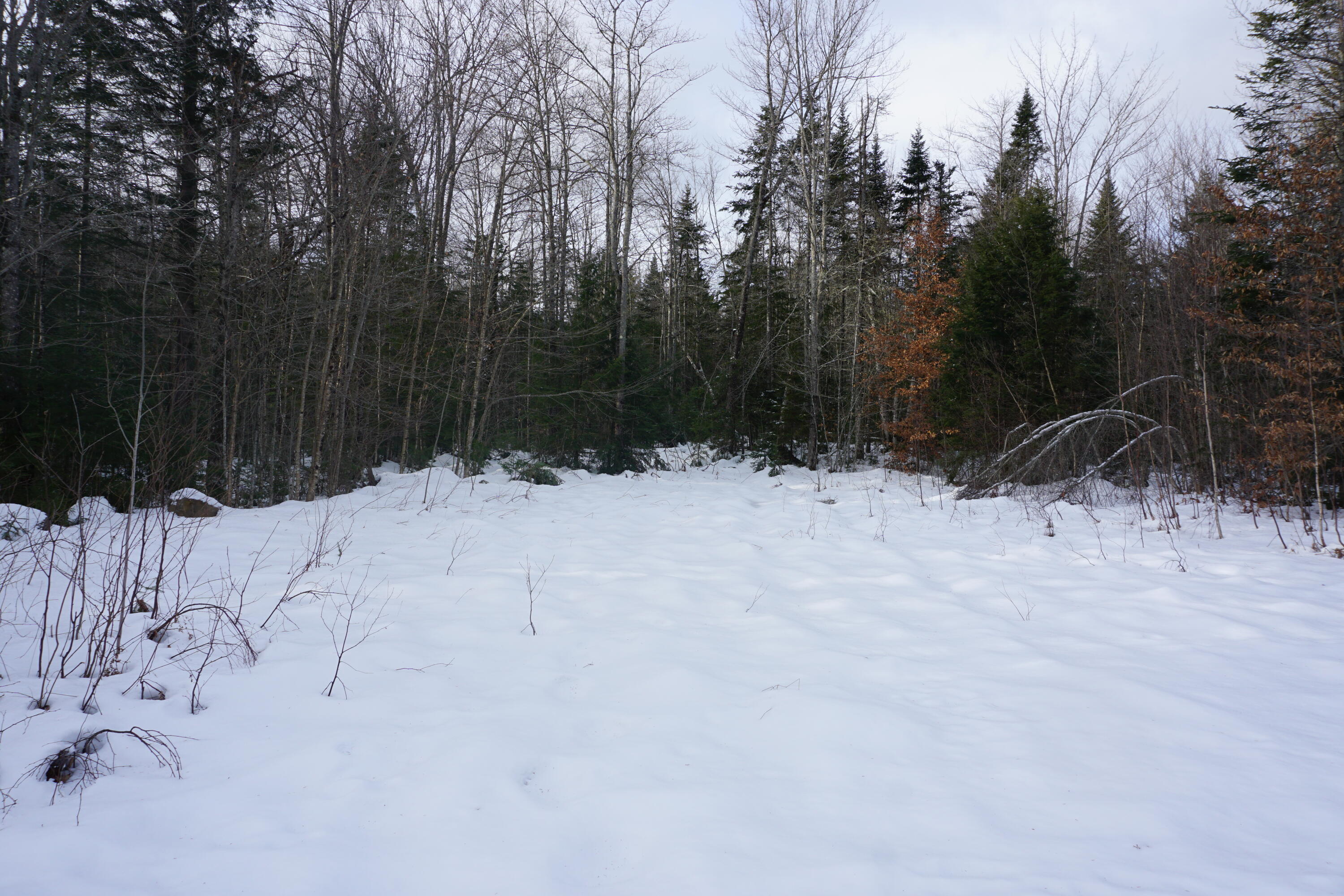 M13-l18a-2 Redding Road Bryant Pond, ME 04219 - Photo 6 of 29 DSC04748