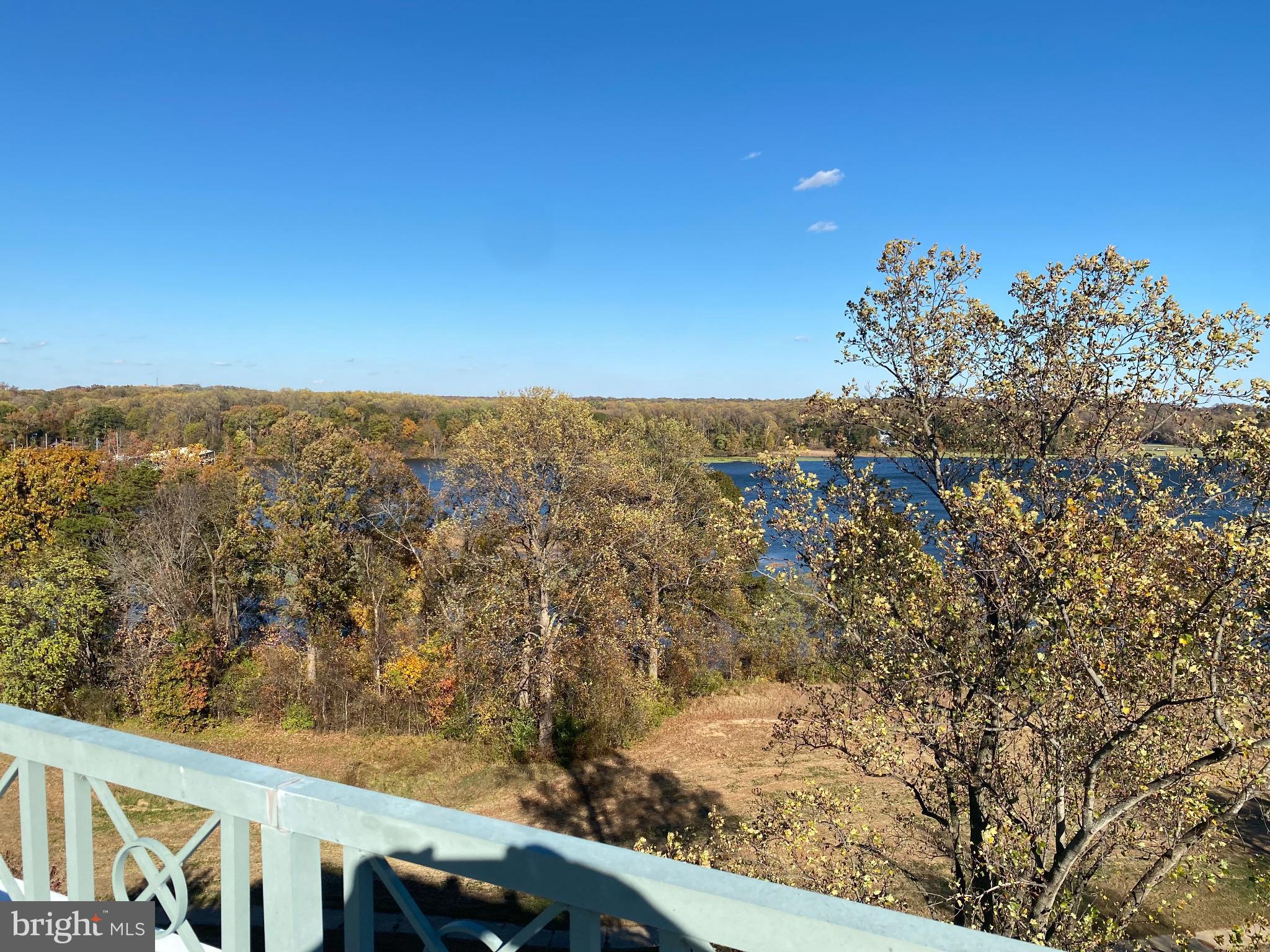 820 Belmont Bay Drive, Unit 301 Woodbridge, VA 22191 - Photo 58 of 76 Serene view with autumn hues.
