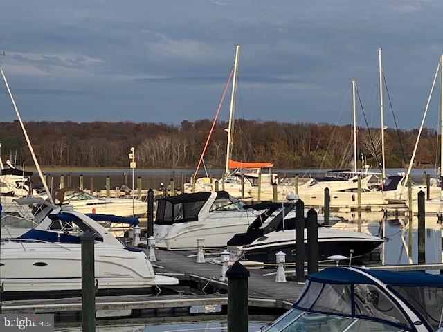 820 Belmont Bay Drive, Unit 301 Woodbridge, VA 22191 - Photo 71 of 76 Serene marina at dusk, boats gently bobbing.