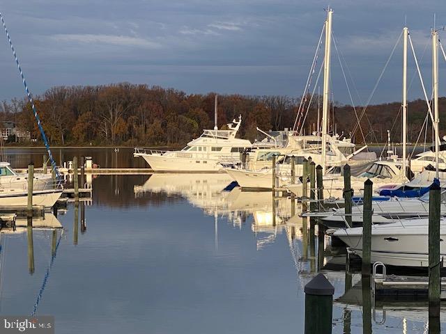 820 Belmont Bay Drive, Unit 301 Woodbridge, VA 22191 - Photo 72 of 76 Serene marina at dusk, boats gently anchored.