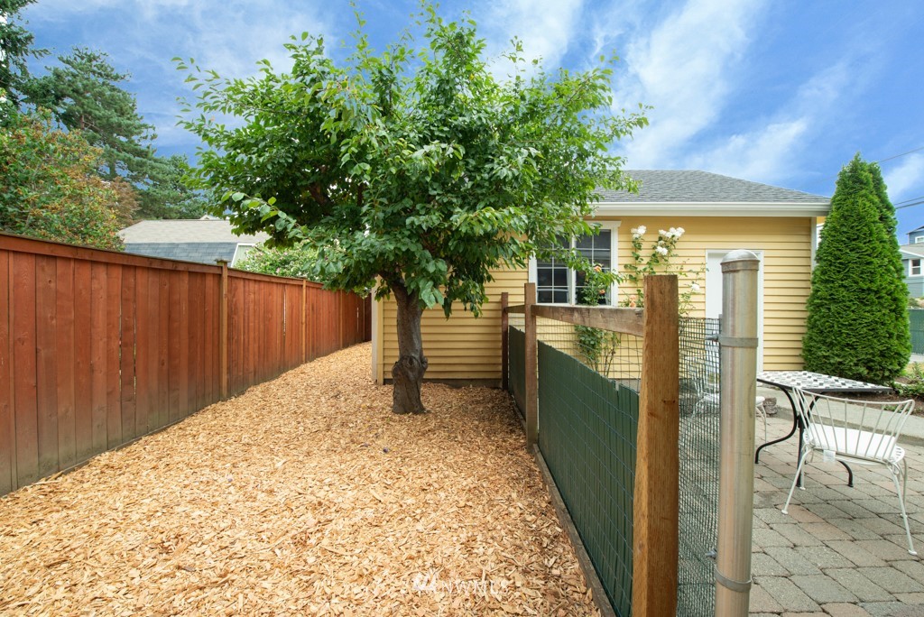 560 North 76th Street Seattle, WA 98103 - Photo 37 of 37 a view of a backyard with plants