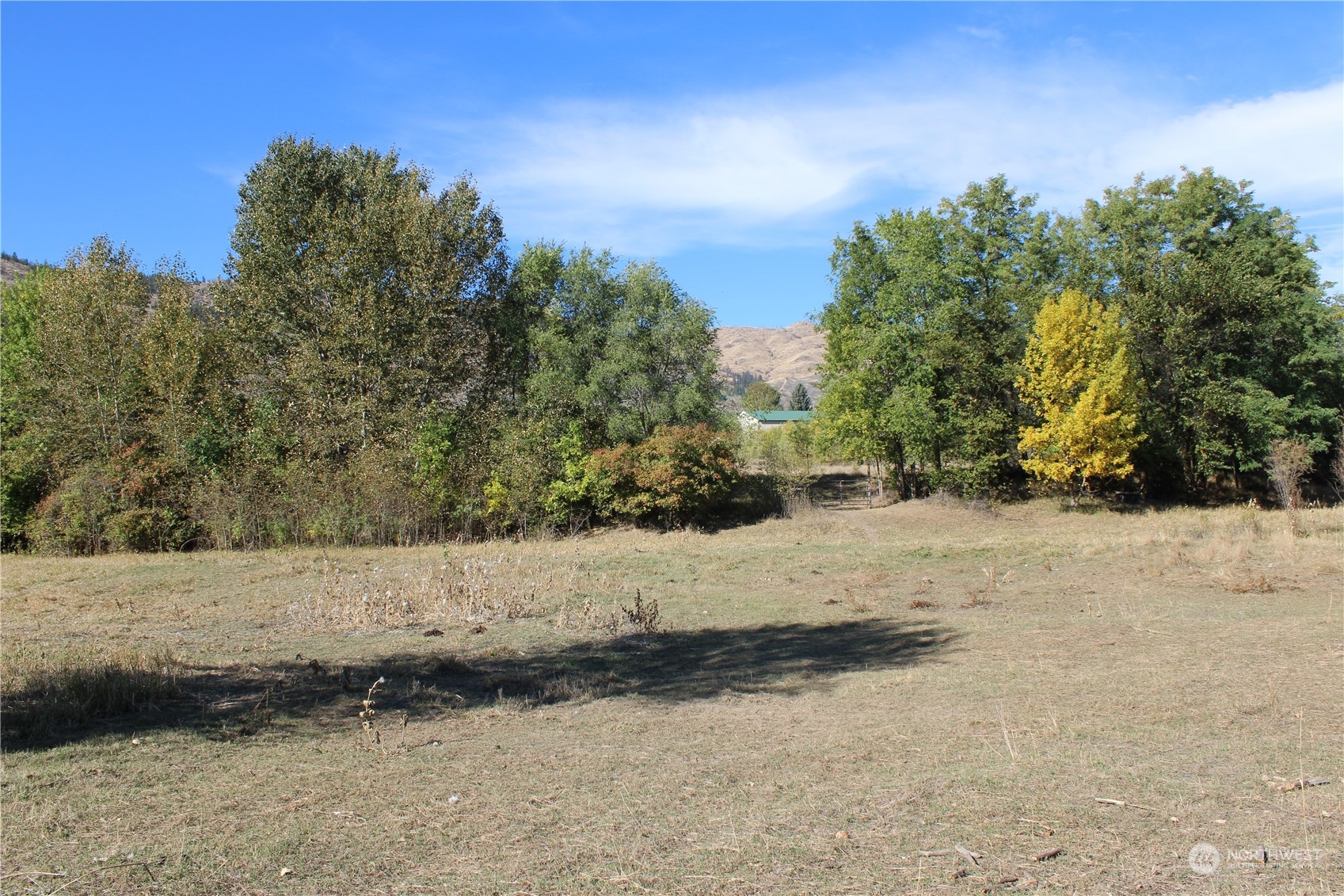 15 Redneck Road Oroville, WA 98844 - Photo 25 of 35 Gallery Image 25