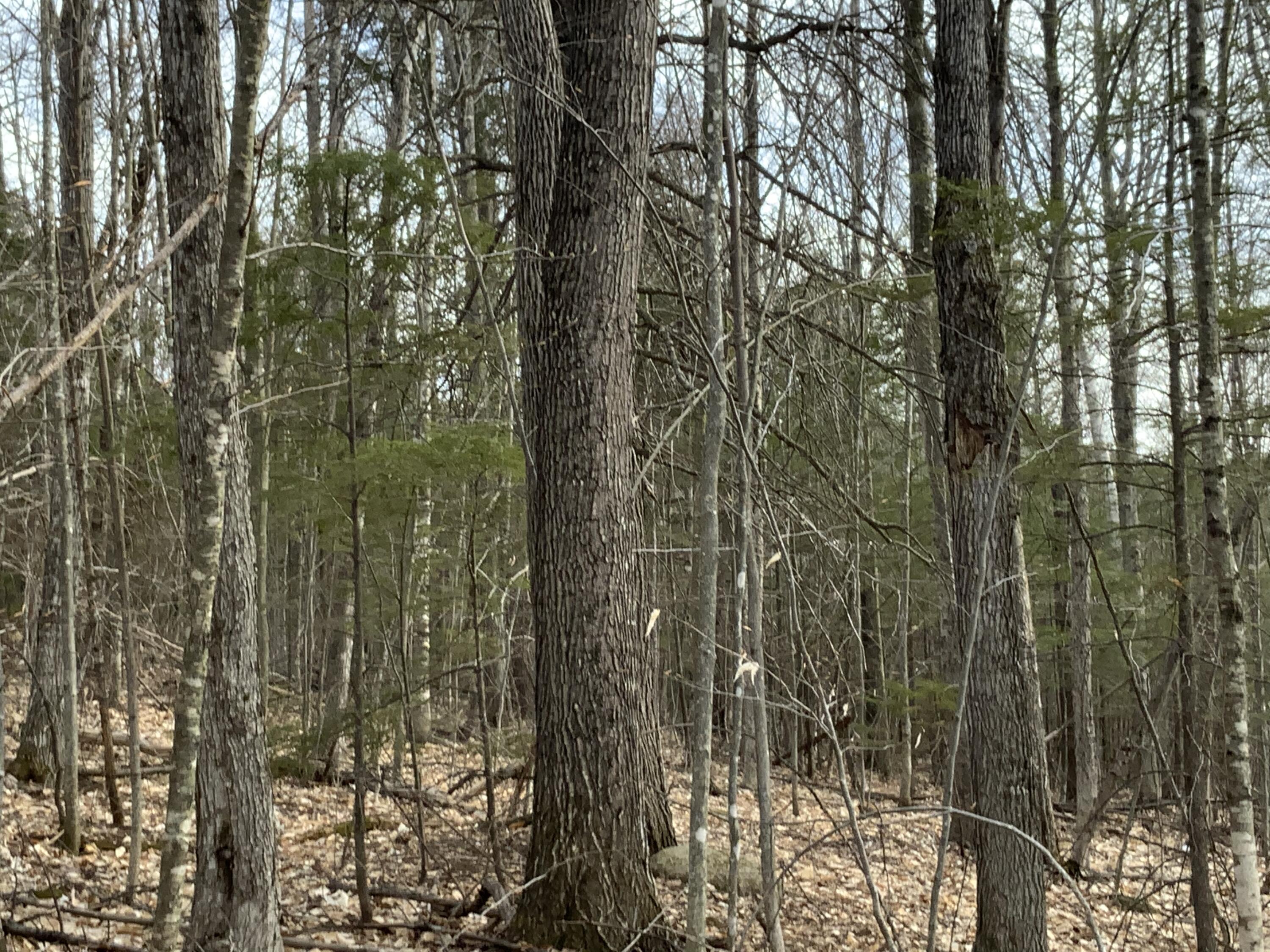 157 Hall Hill Road Rumford, ME 04276 - Photo 6 of 27 4B4D2749-BD32-4CC5-A18A-CBAB0BCE47DF