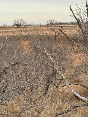 $285,000 | 14002 County Road Q, Childress, TX 79201