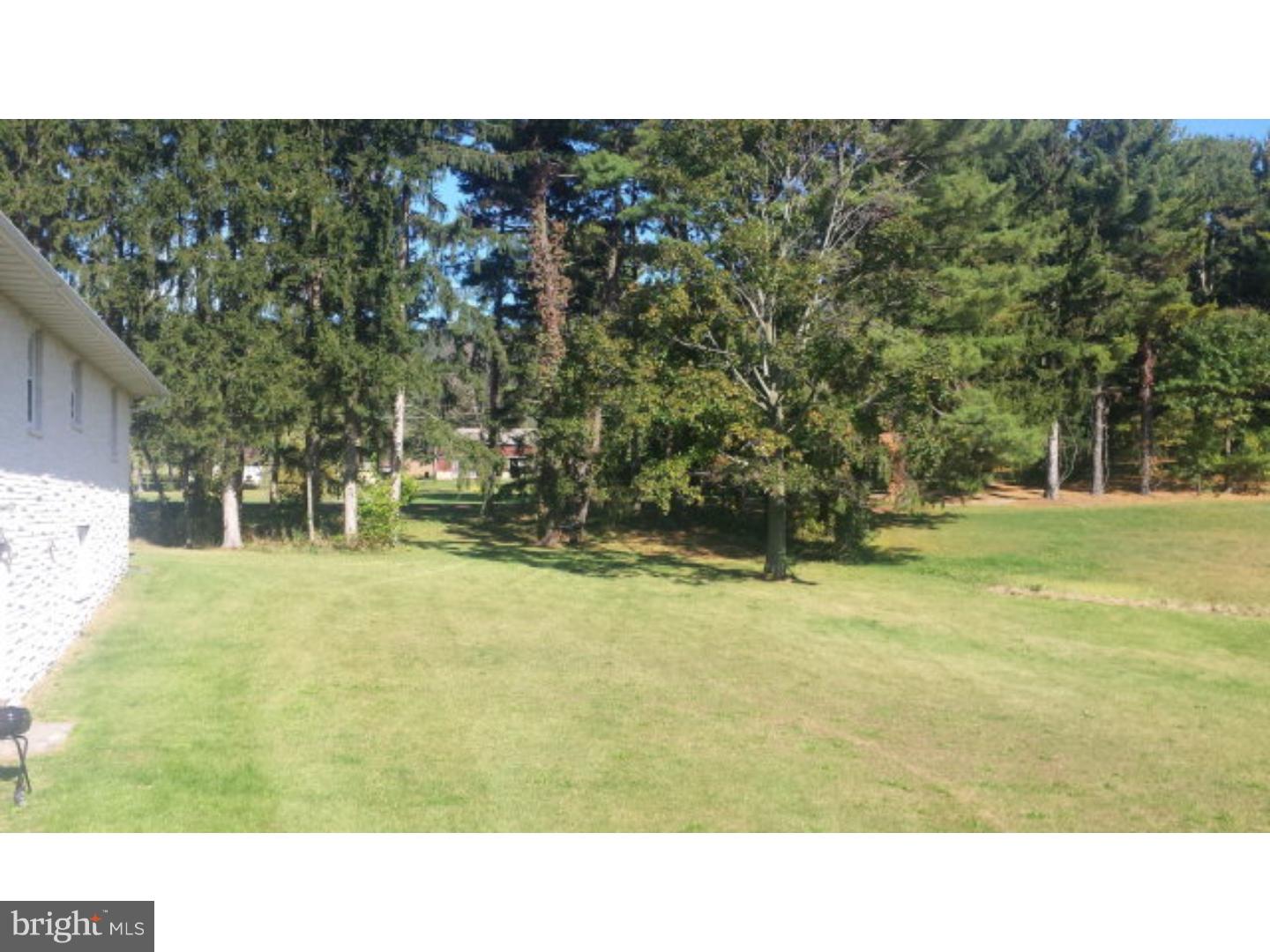 278 North Good Spring Road Hegins, PA 17938 - Photo 6 of 25 Side Yard