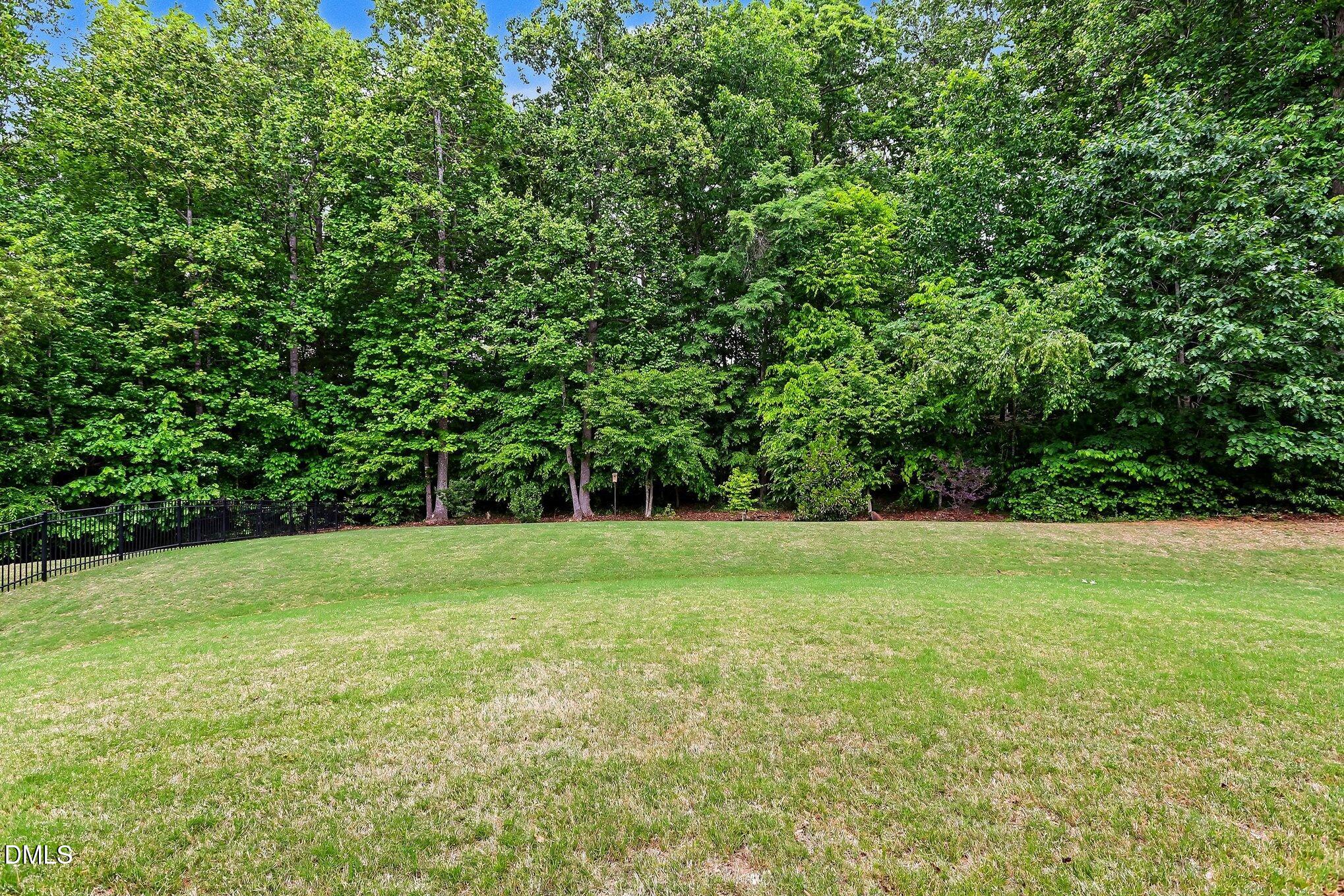 201 Empress Road Hillsborough, NC 27278 - Photo 32 of 33 030_file_8893