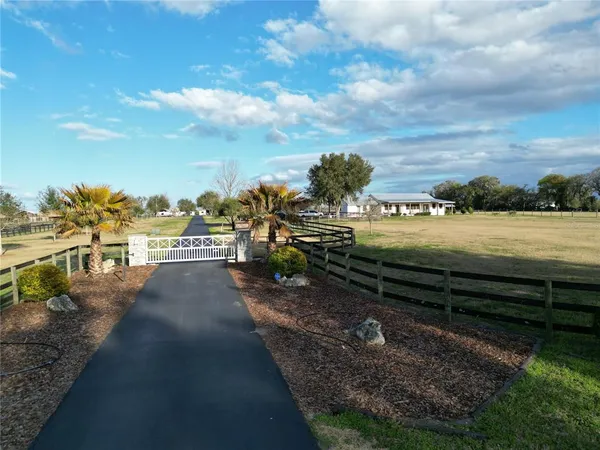 a view of a yard