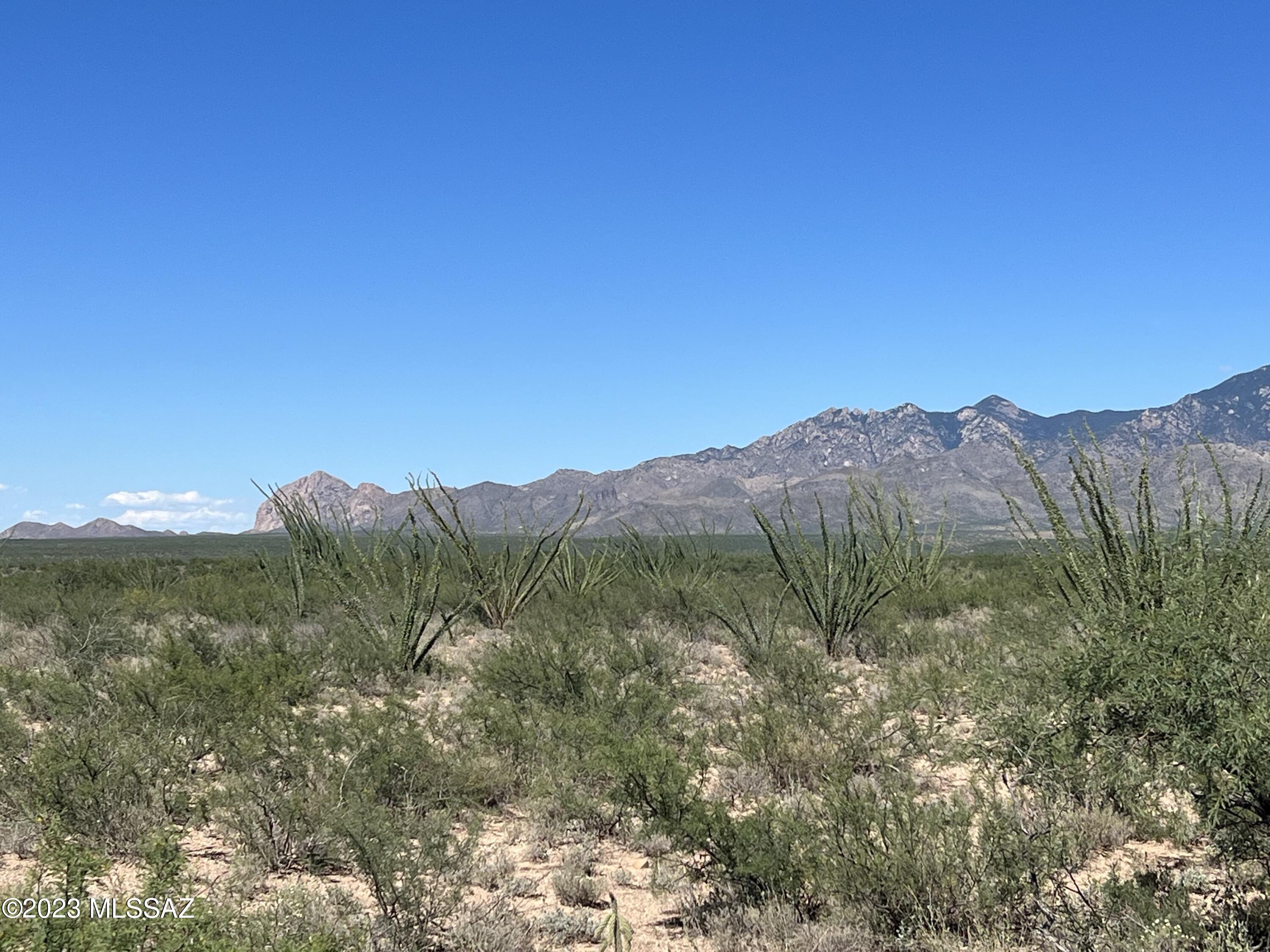 Tbd Camino Nacozari, Unit 71 Rio Rico, AZ 85648 - Photo 3 of 19 Sweeping Vistas