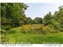 V/l Bullard Road Fenton, MI 48430 - Photo 5 of 7 ShowImage.jpg