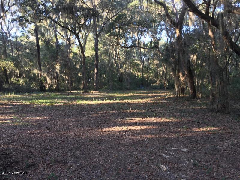 100 Saxonville Road St. Helena Island, SC 29920 - Photo 1 of 1 100 Saxonville Rd Land