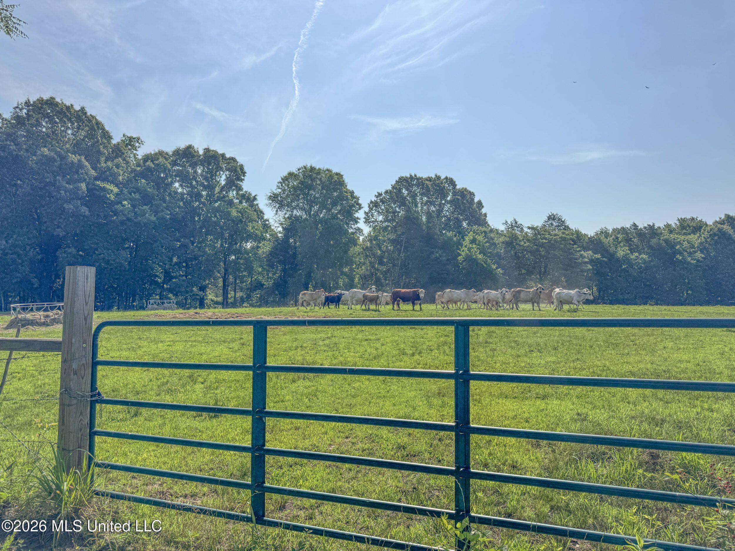 2169 Slocum Road Hernando, MS 38632 - Photo 57 of 94 8slcm14