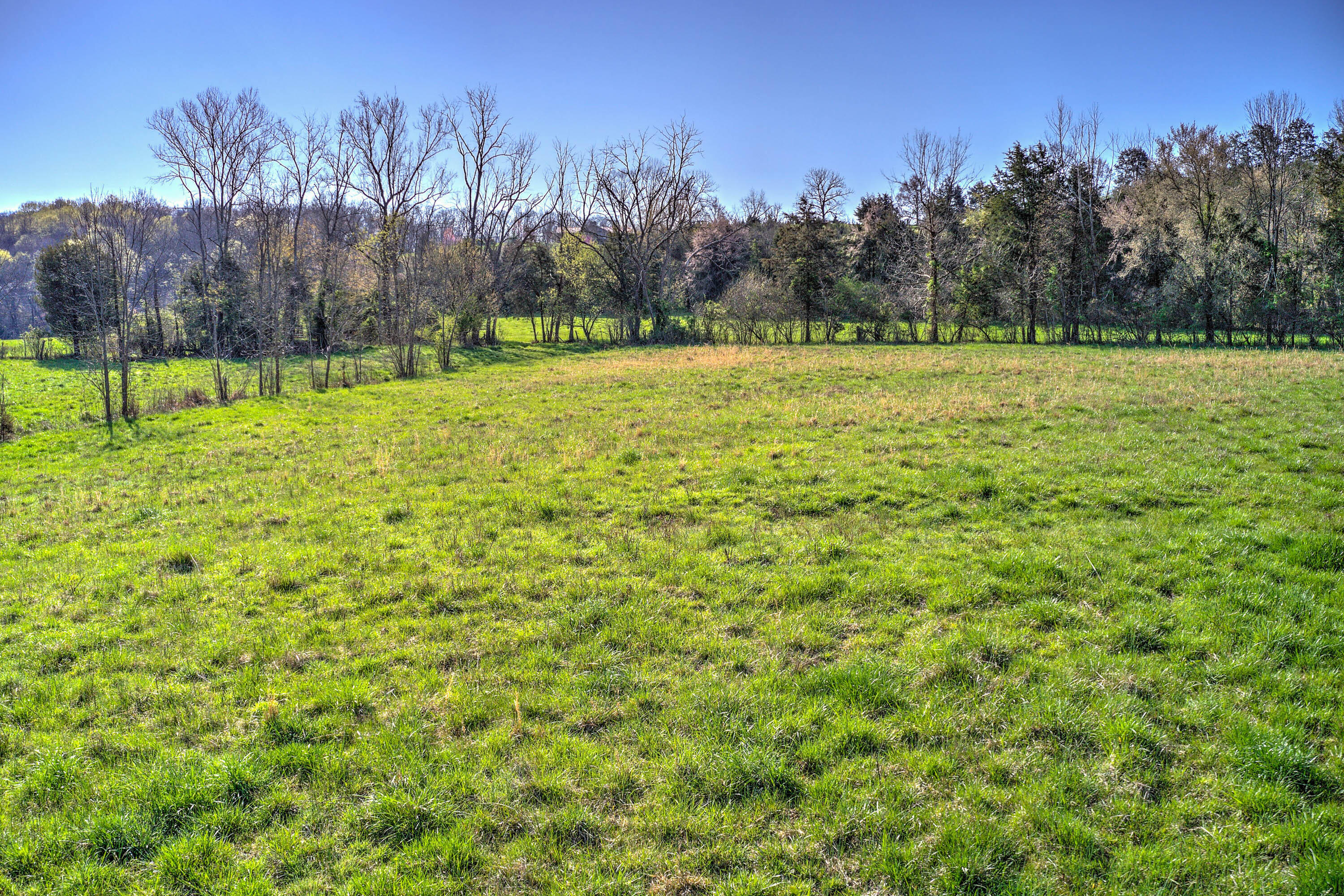 1012 Charlie Doty Road Greeneville, TN 37745 - Photo 28 of 41 1012 Charlie Doty Rd-12