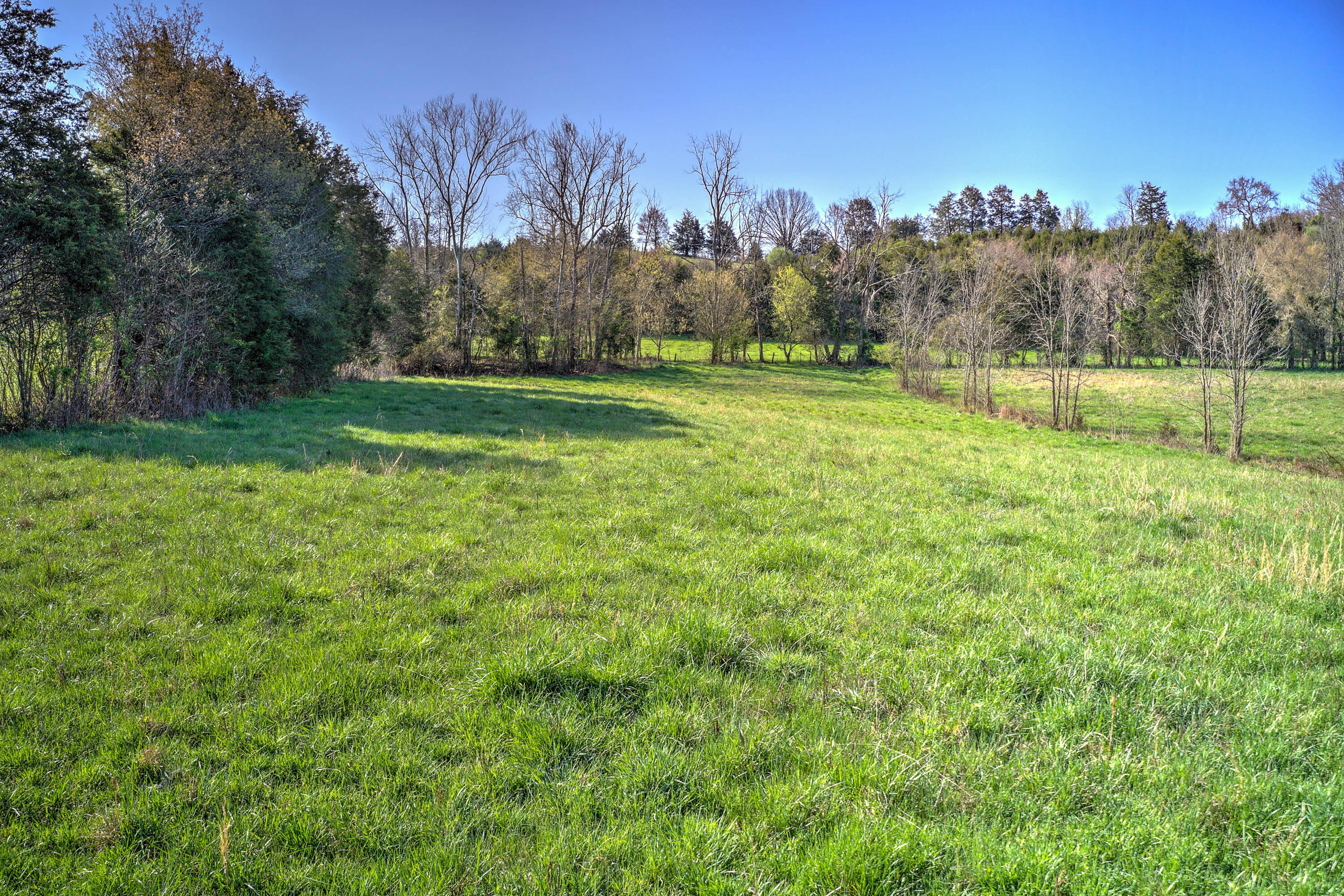 1012 Charlie Doty Road Greeneville, TN 37745 - Photo 29 of 41 1012 Charlie Doty Rd-13