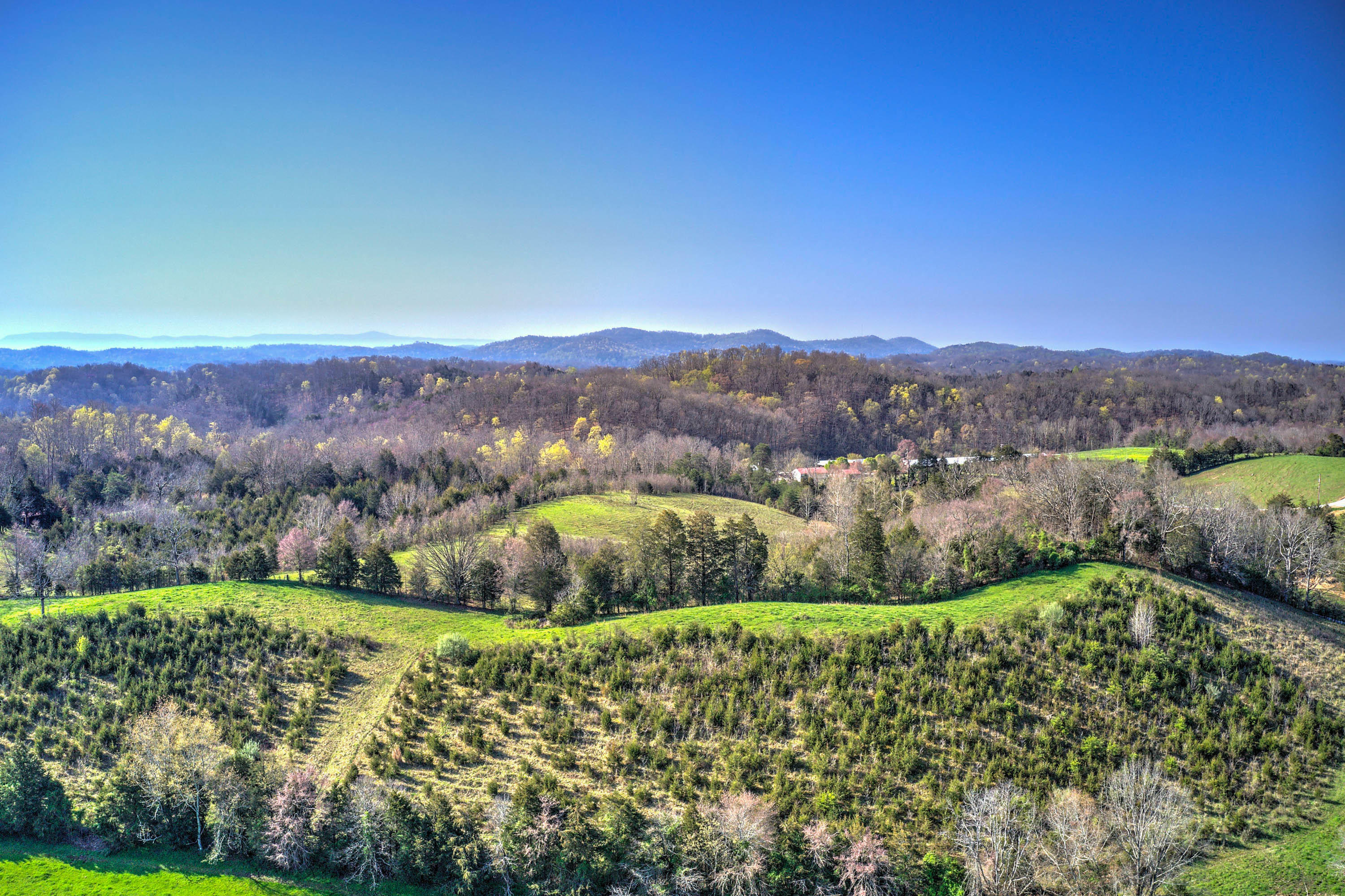 1012 Charlie Doty Road Greeneville, TN 37745 - Photo 41 of 41 1012 Charlie Doty Rd-14