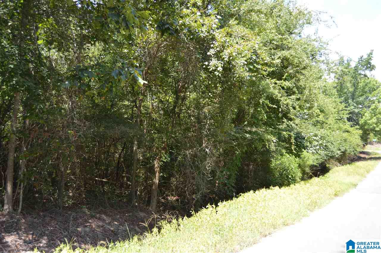 3349 White Road, Unit 1 Dora, AL 35062 - Photo 1 of 1