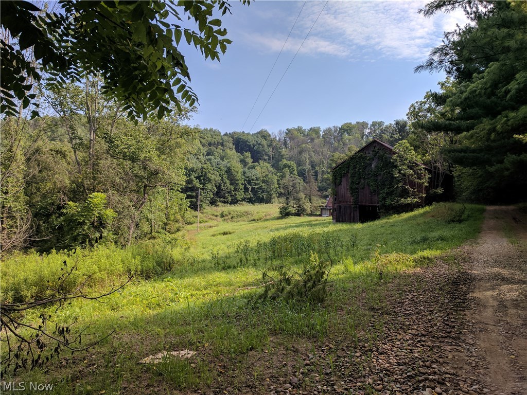 6806 Buehler Hill Road Port Washington, OH 43837 - Photo 15 of 19
