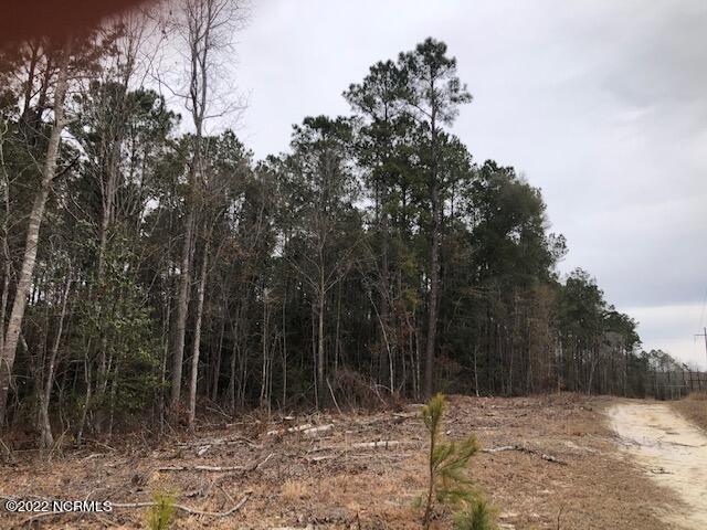 0 Tv Tower Road Delco, NC 28436 - Photo 1 of 3 image1