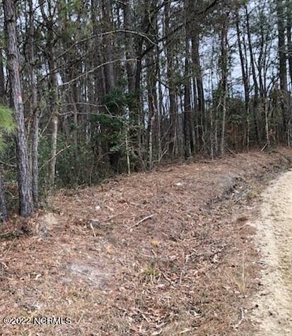 0 Tv Tower Road Delco, NC 28436 - Photo 2 of 3 Land 2