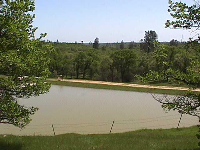 20060424171846122439000000-o
