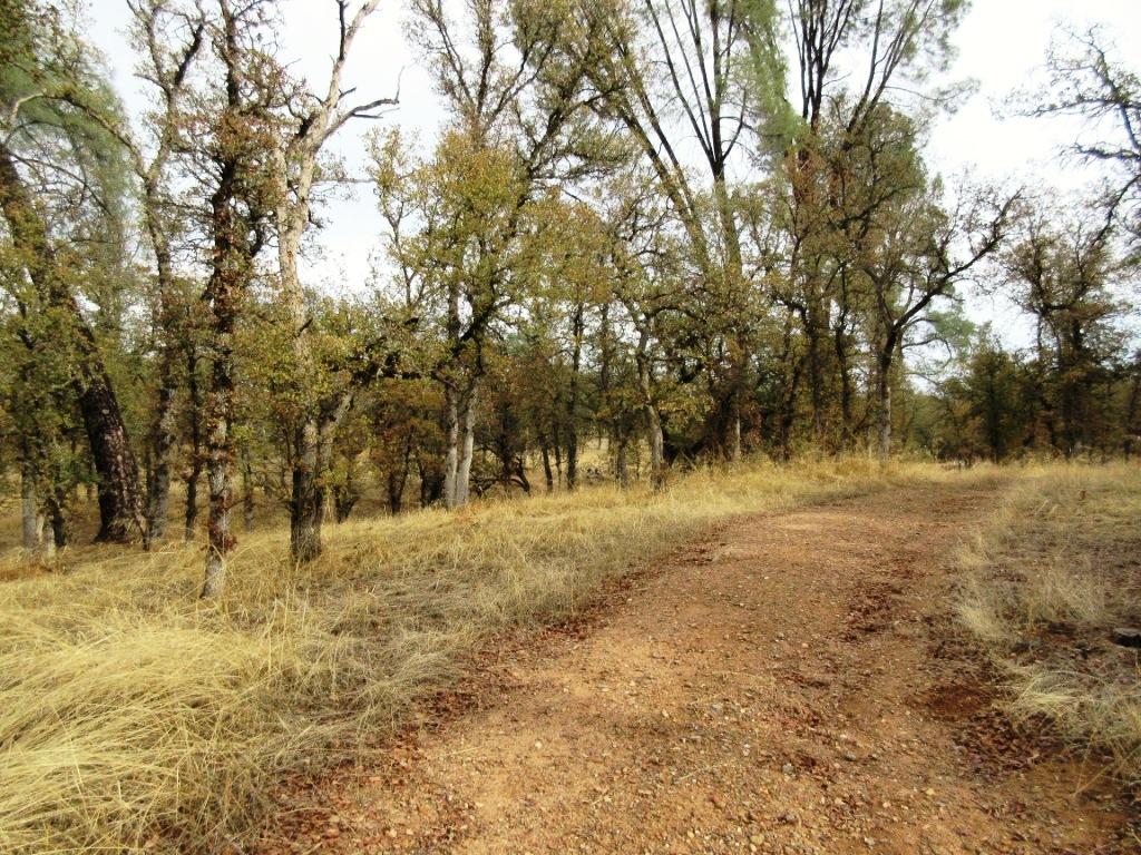 Two Two Feathers Road Cottonwood, CA 96022 - Photo 12 of 21 IMG_1243