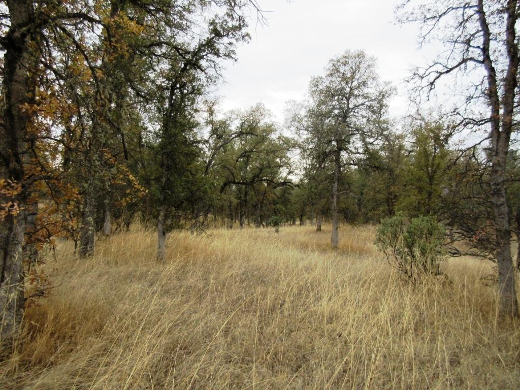 Two Two Feathers Road Cottonwood, CA 96022 - Photo 14 of 21 IMG_1294