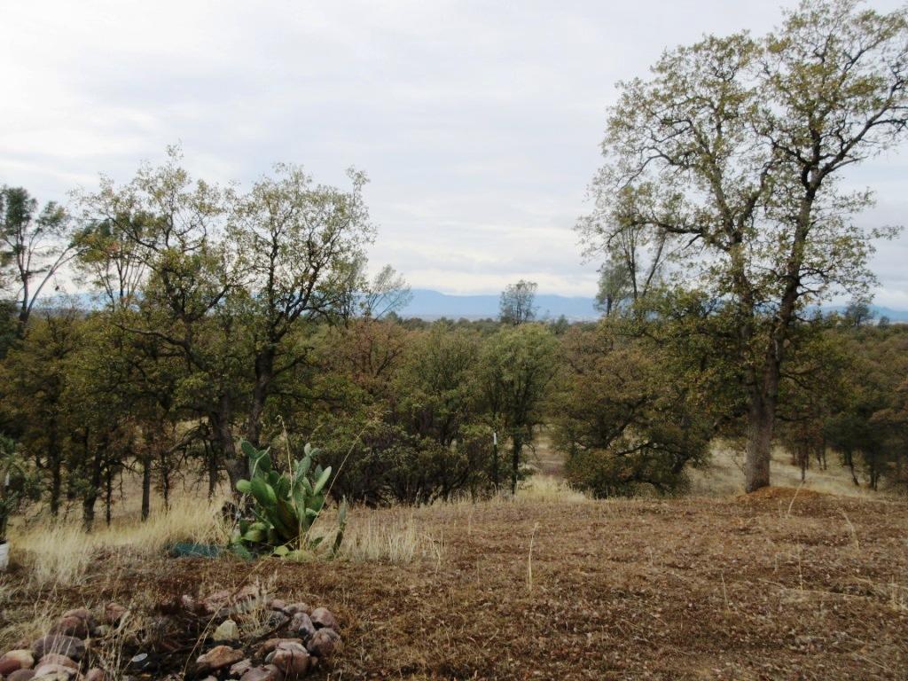 Two Two Feathers Road Cottonwood, CA 96022 - Photo 16 of 21 IMG_1253