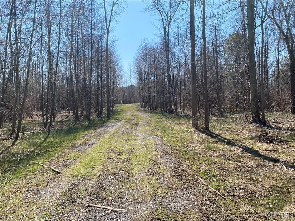 16 Davison Beach Road Parma, NY 14468 - Photo 3 of 8