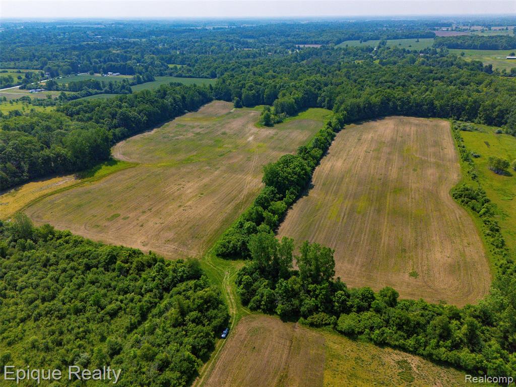 0 Jeddo Road Yale, MI 48097 - Photo 12 of 21