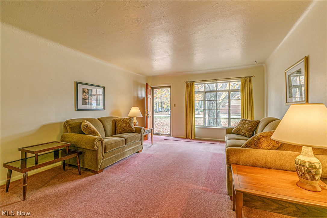 722 Esther Road Cleveland, OH 44143 - Photo 2 of 35 Gallery Image 2