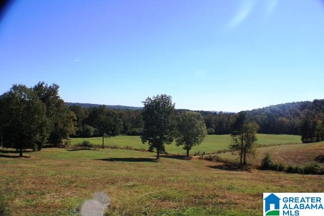 1785 Nunnally Lake Road Ohatchee, AL 36271 - Photo 25 of 50