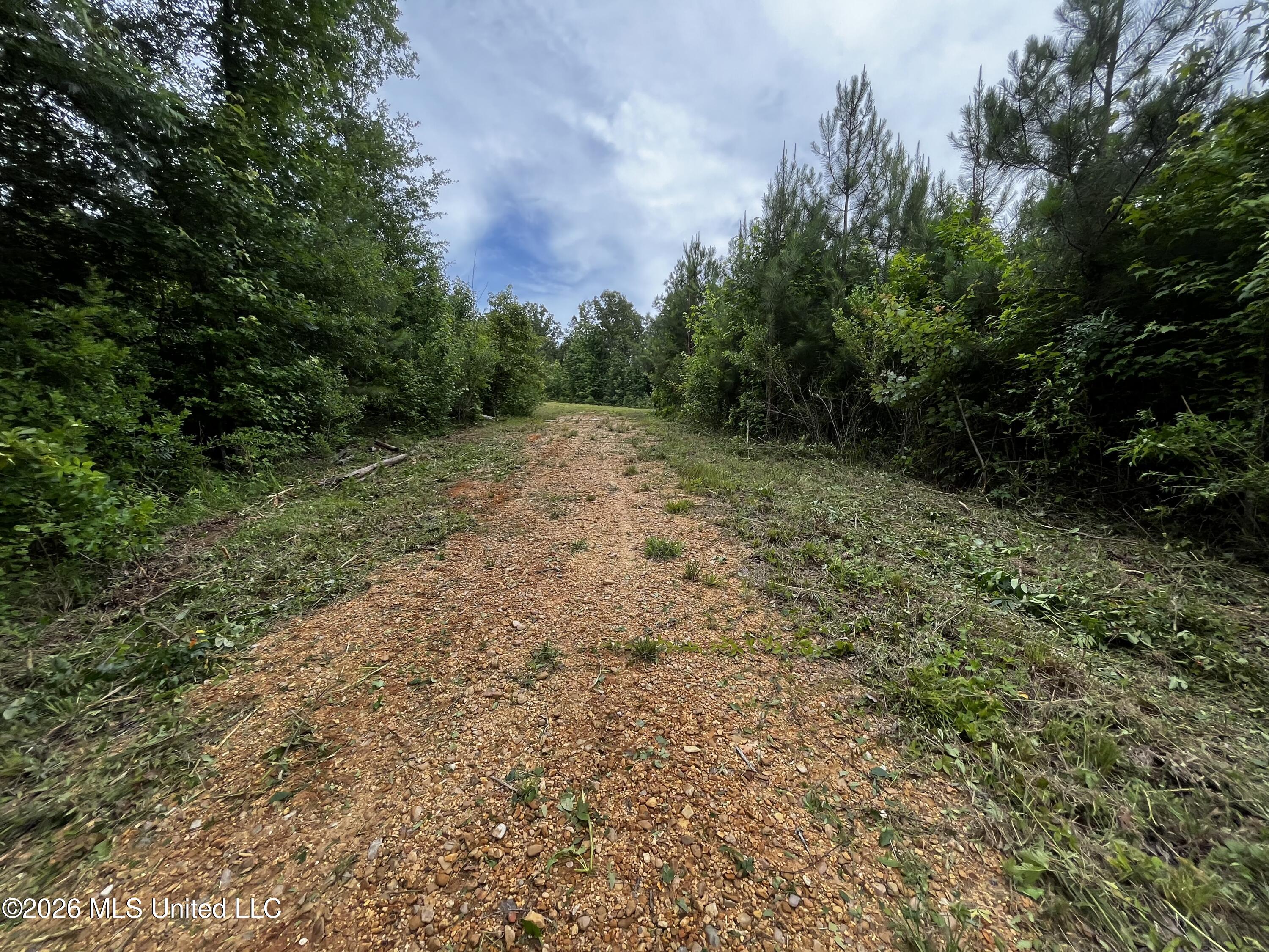 Cline Road Wesson, MS 39191 - Photo 13 of 16 IMG_1147