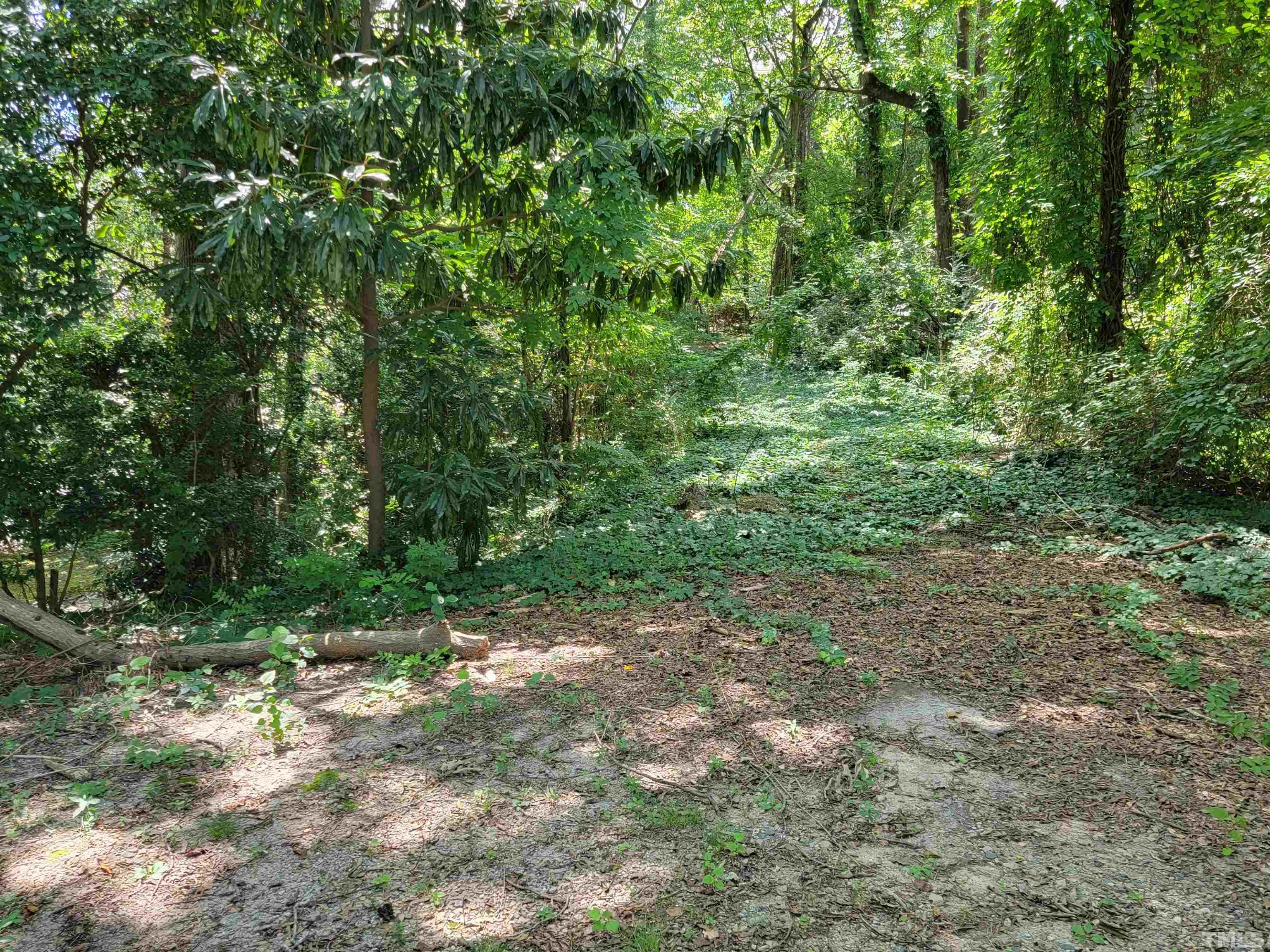 300 Dartmouth Road Raleigh, NC 27609 - Photo 11 of 52 a view of a forest with trees in the background