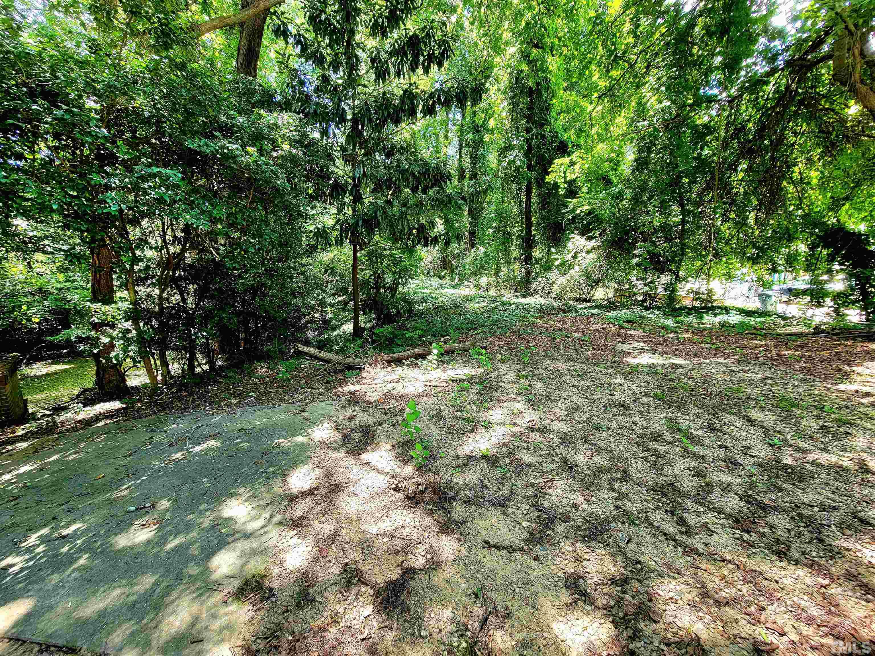 300 Dartmouth Road Raleigh, NC 27609 - Photo 16 of 52 a view of a tree in the middle of a yard
